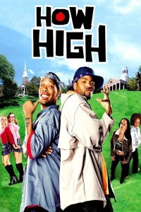 How High (2001) Hindi Dubbed