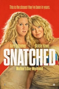 Snatched (2017) Dual Audio Hindi Dubbed